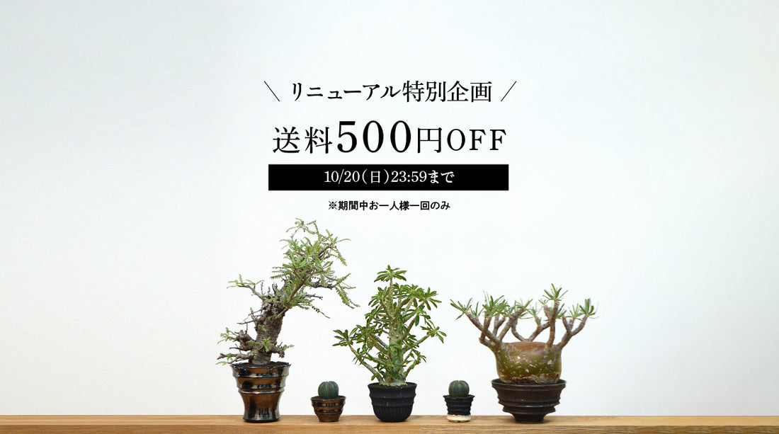 10/10(木)サイトを引っ越しました。