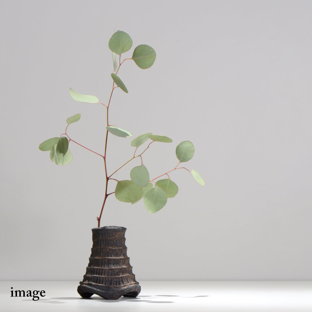 沼野 秀章 / black wrap / S /  nu02_bw_ichi001_s/ 口径約 φ1cm / 一輪挿し 花瓶