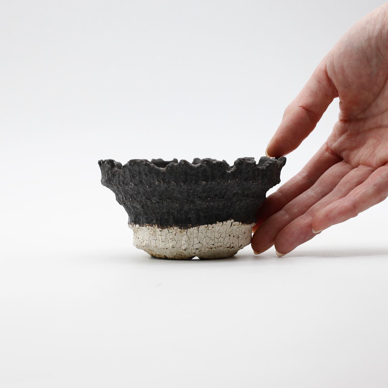 菊地元野 / AVOCADO BORDER ツートン 03/Sサイズ