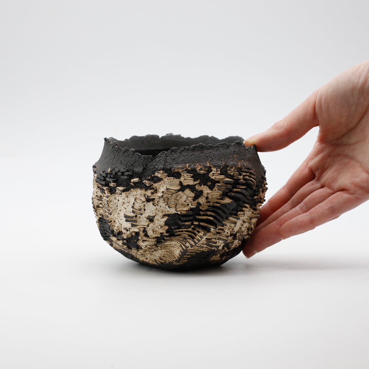 菊地元野 / DANSOU two-tone 11