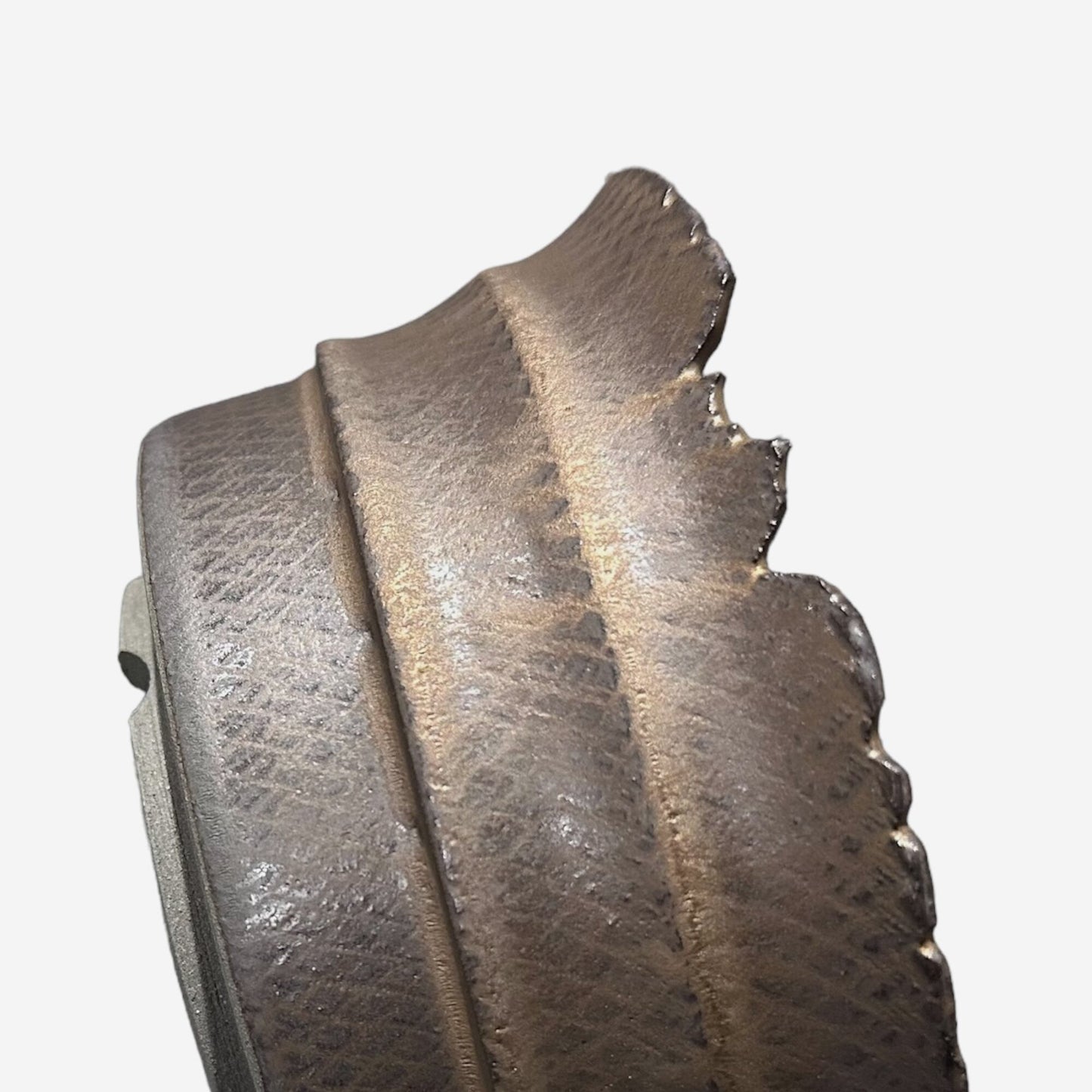 LIZARD 3 -10-17/Lサイズ