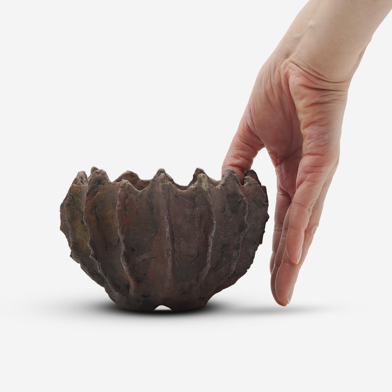 木村 貴史 /DEISAI 129