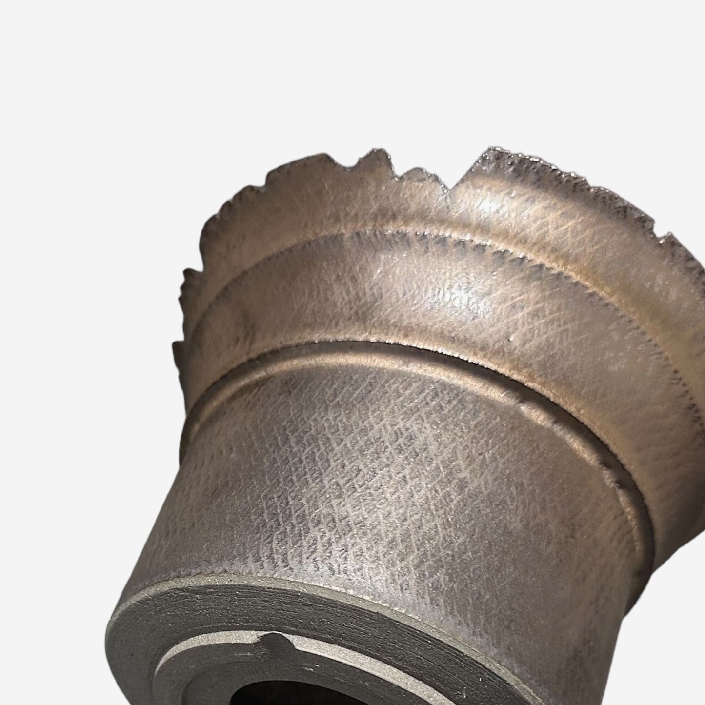 LIZARD 3 -09-07/XLサイズ