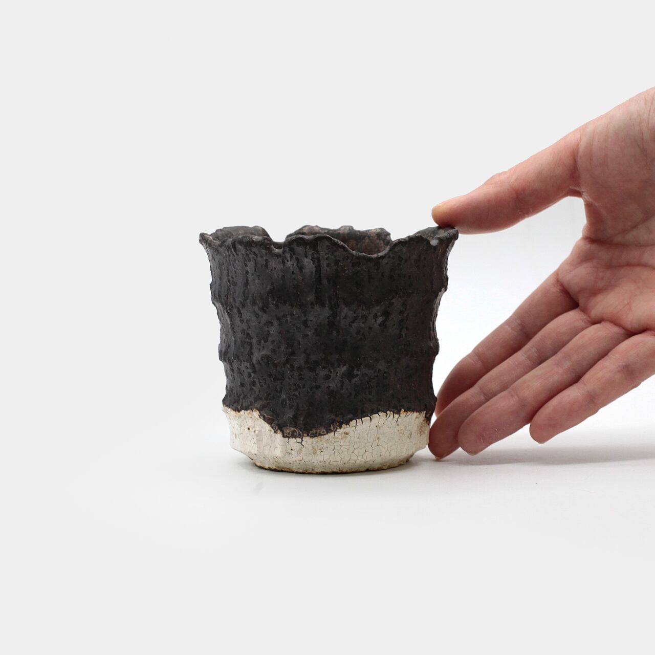 菊地元野 / AVOCADO BORDER ツートン 01/Mサイズ