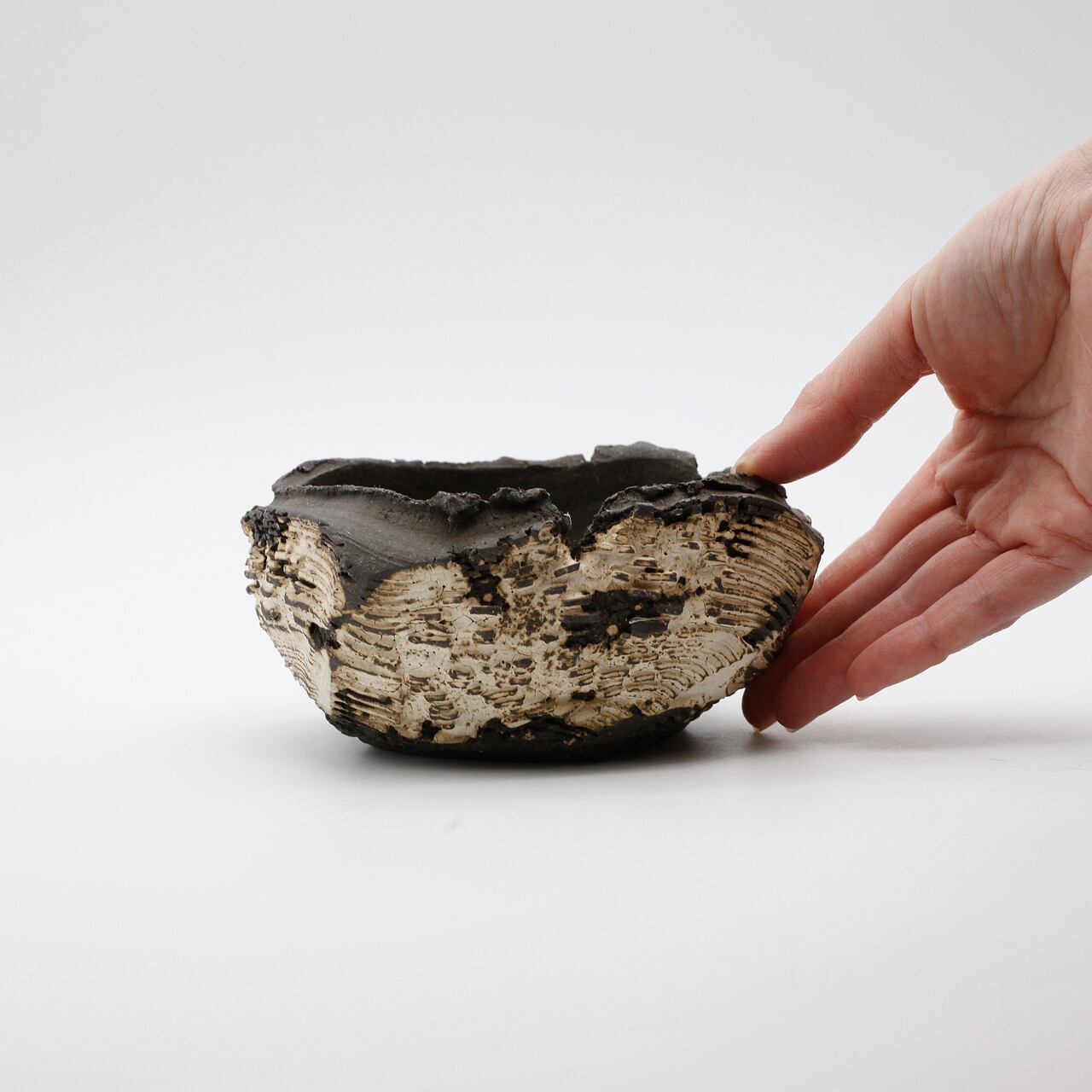 菊地元野 / DANSOU two-tone 07