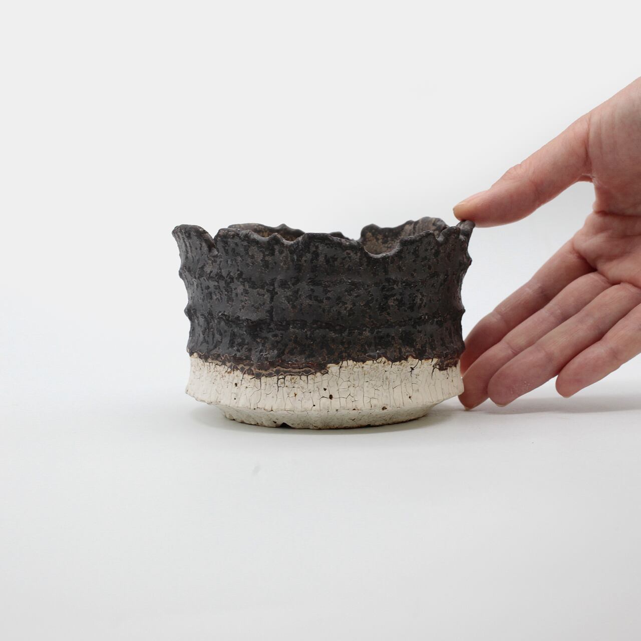 菊地元野 / AVOCADO BORDER ツートン 02/Mサイズ