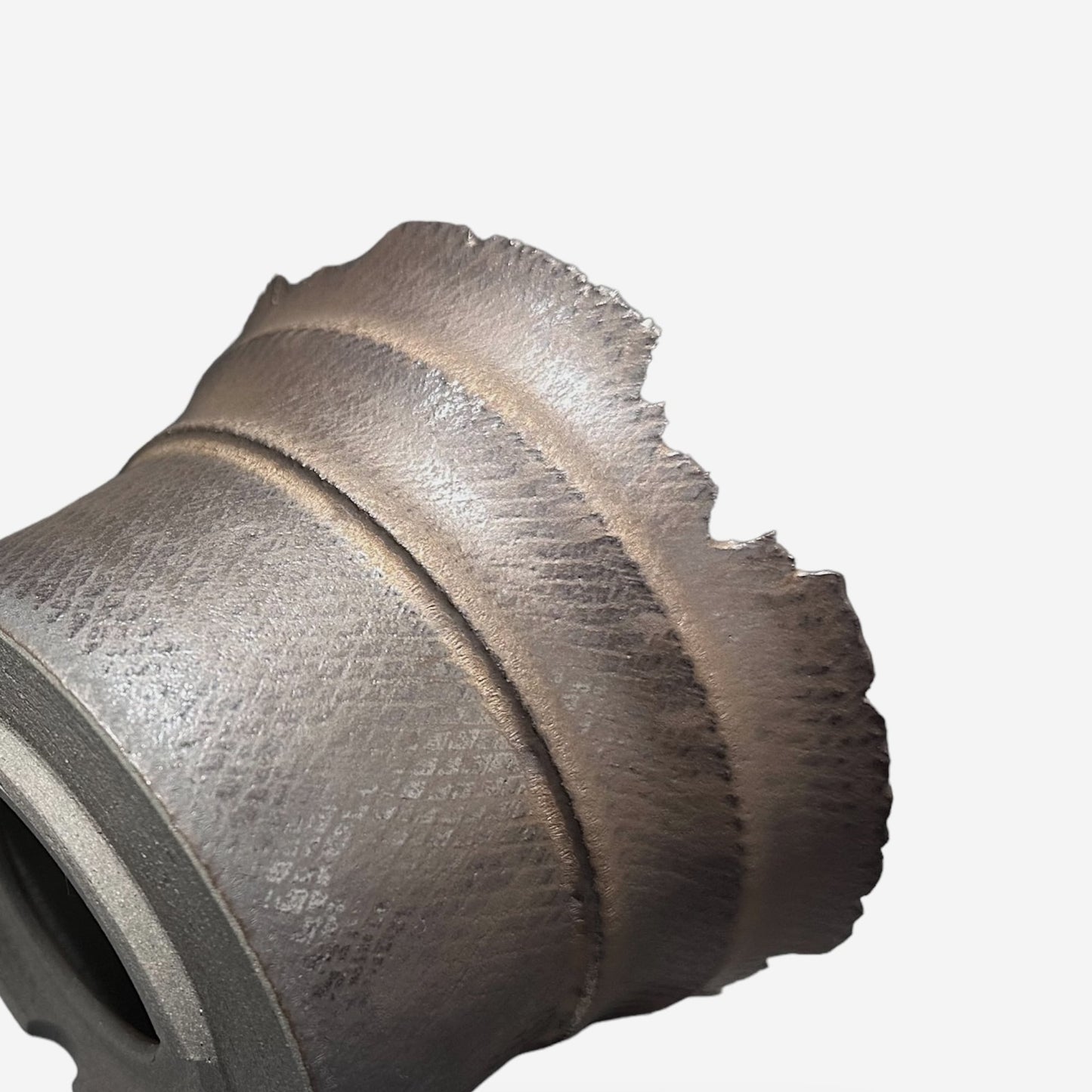 LIZARD 3 -09-18/Lサイズ