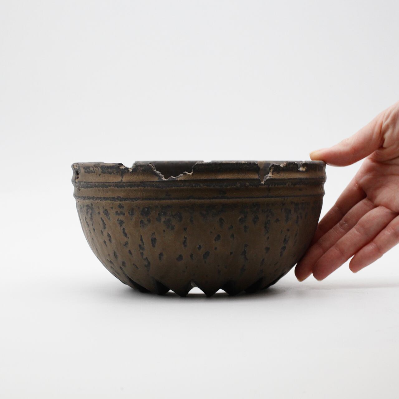 菊地元野 / TEN 02/Lサイズ