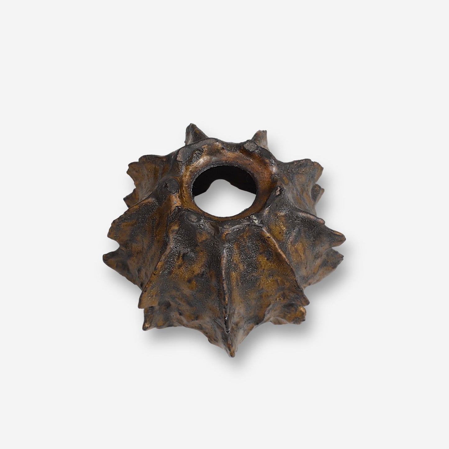 木村 貴史 / DEISAI 141ブロンズA  <約 φ11cm>