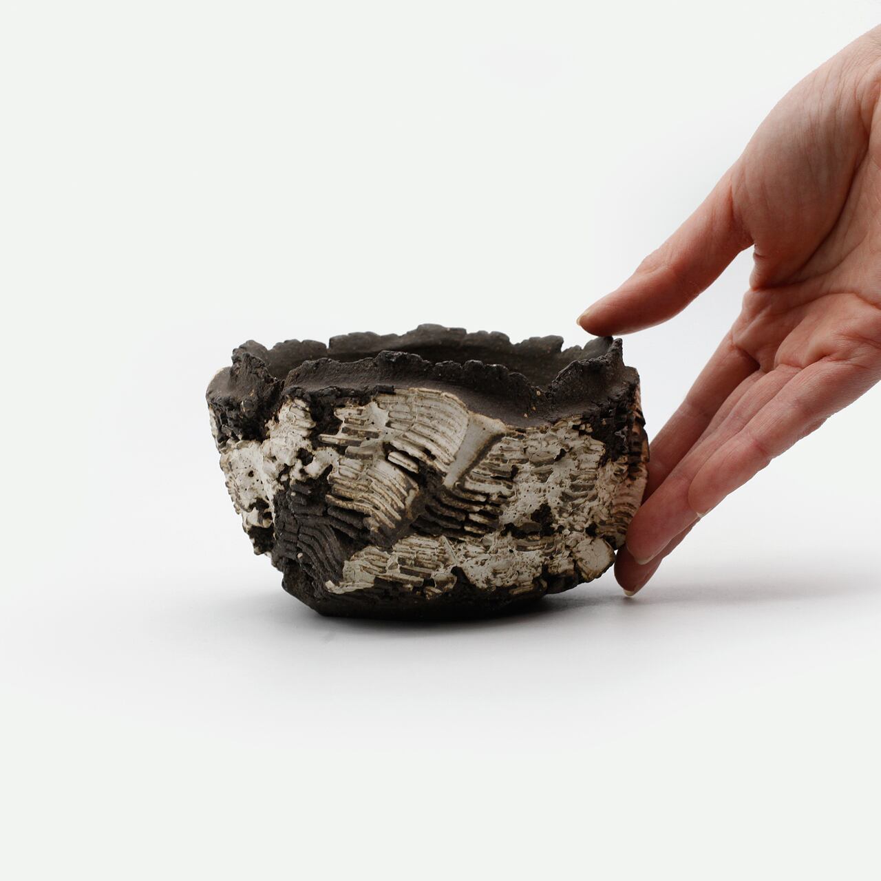 菊地元野 / DANSOU two-tone 02