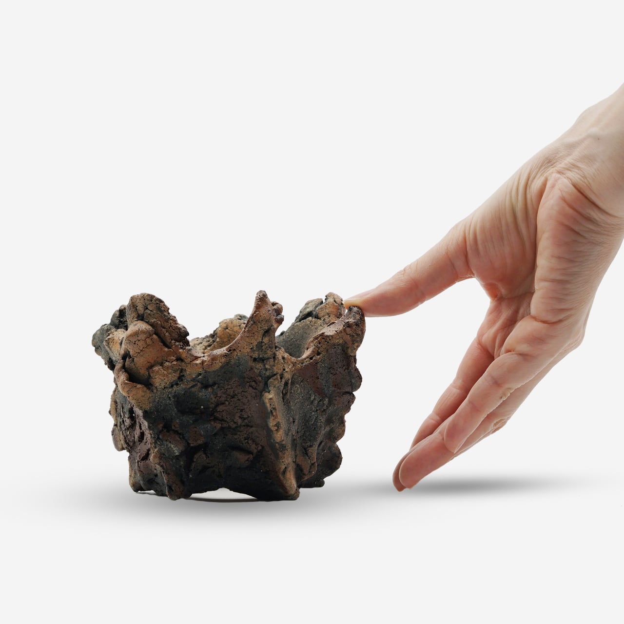 木村 貴史 / DEISAI 102