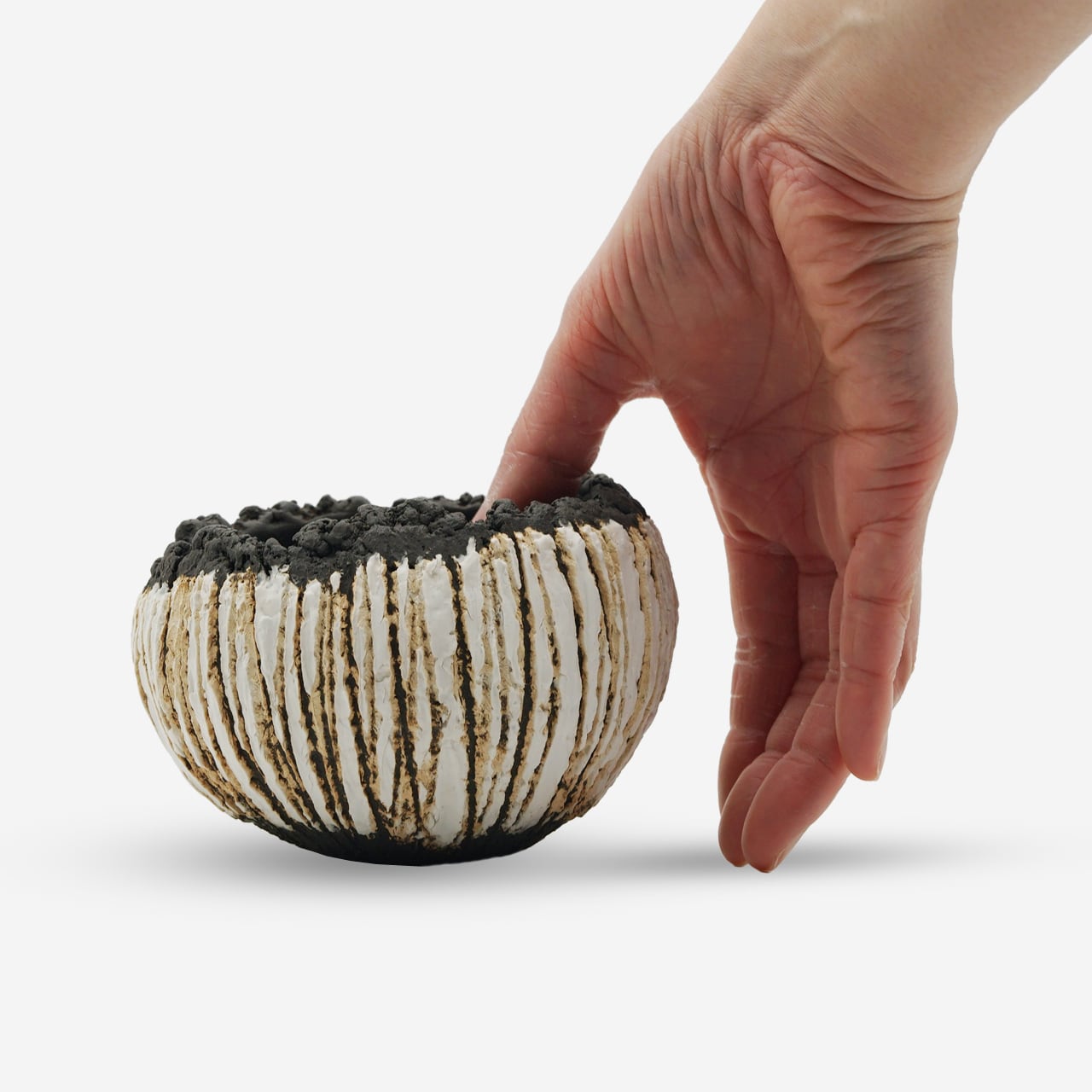 山田睦美 / egg ツートン 01