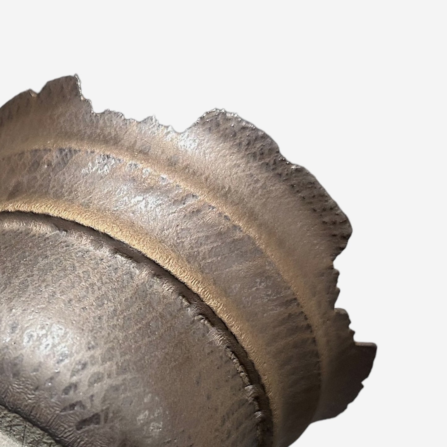 LIZARD 3 -11-13/Lサイズ