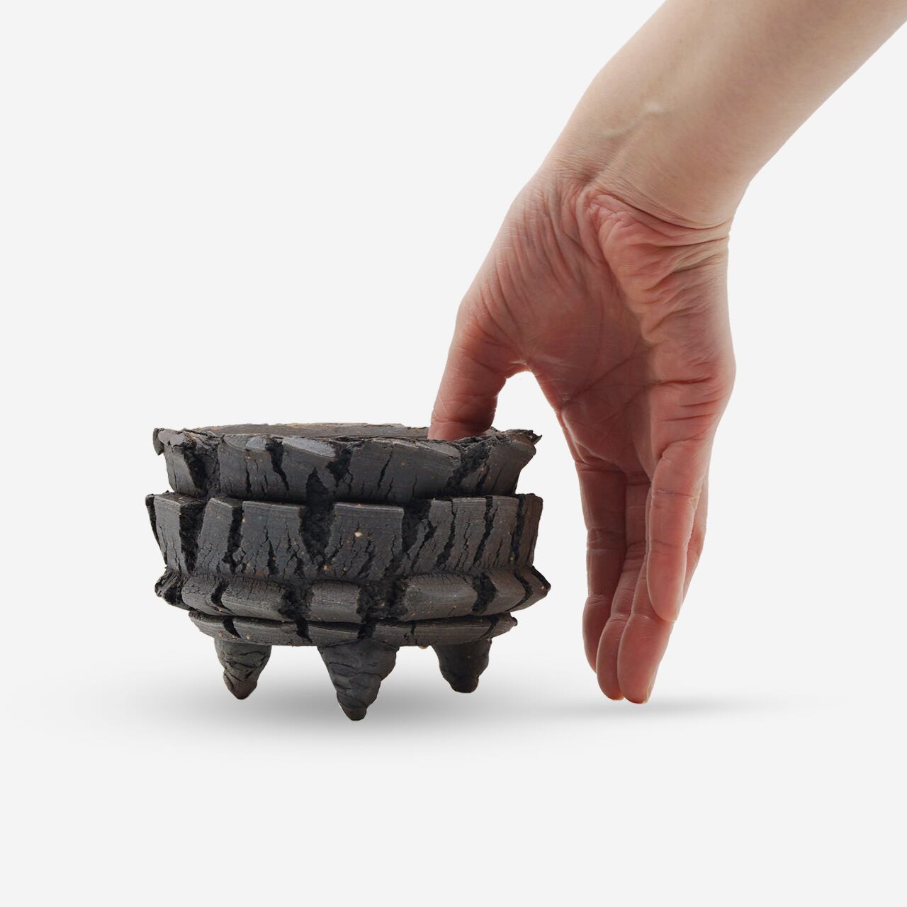 宮島將實 / TANNEN 茶炭 10/Sサイズ