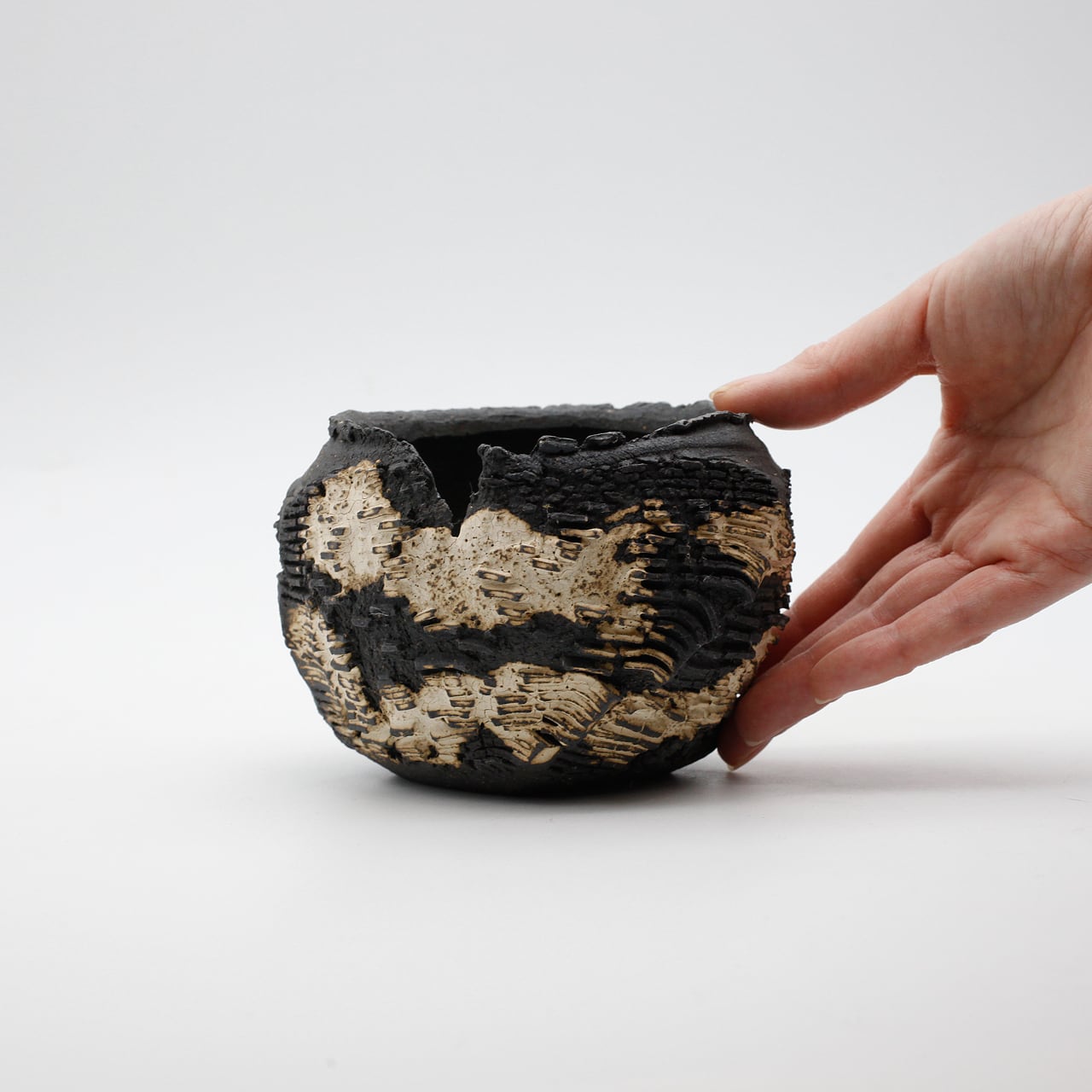 菊地元野 / DANSOU two-tone 12