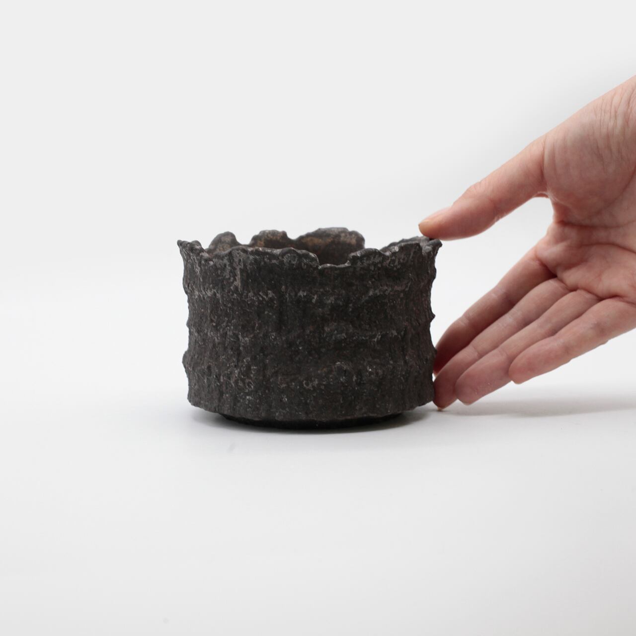 菊地元野 / AVOCADO BORDER 02/Mサイズ