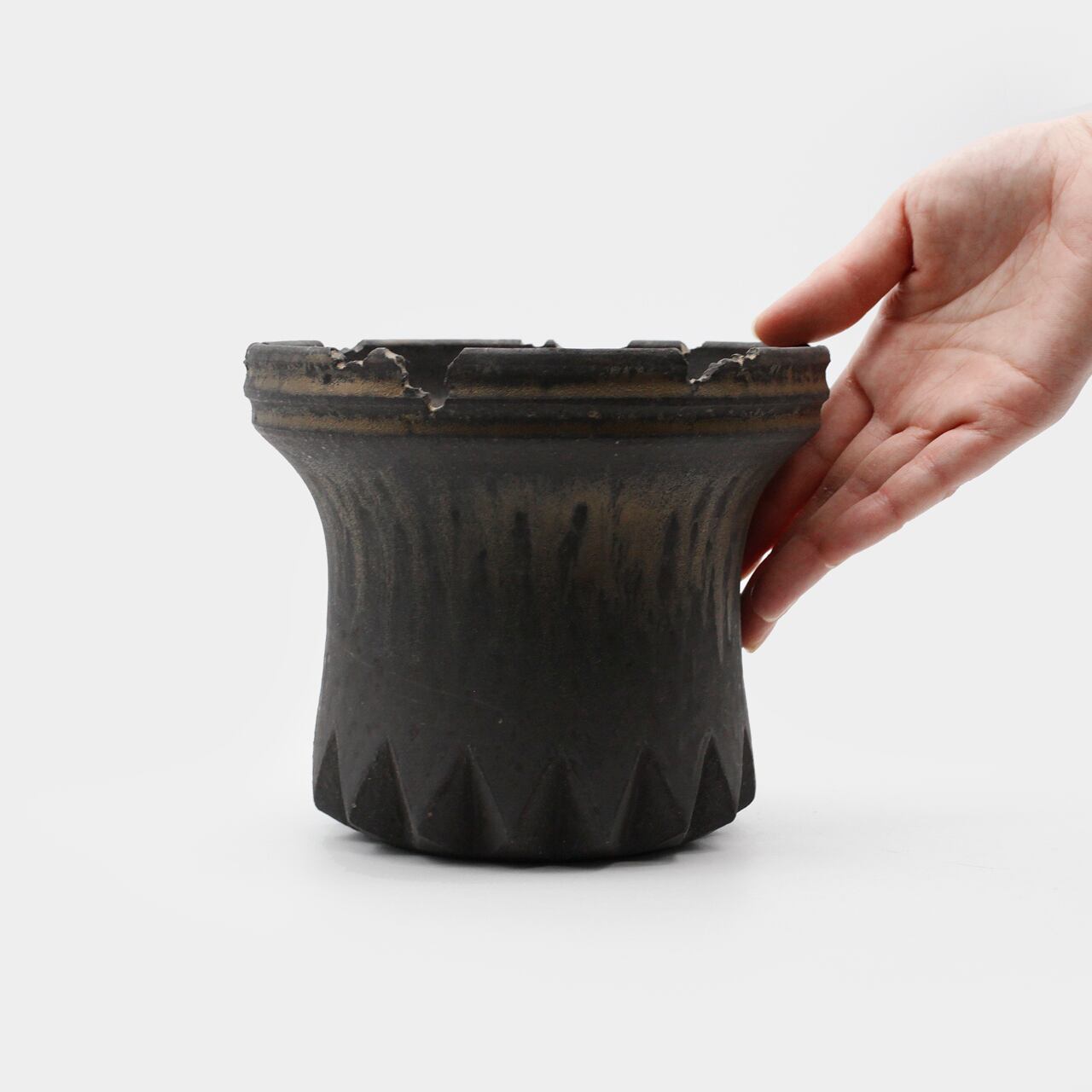 菊地元野 / TEN 04/Lサイズ