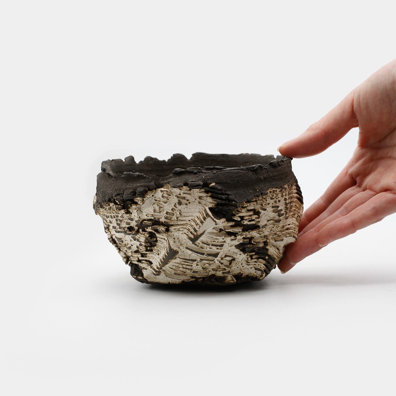 菊地元野 / DANSOU two-tone 10