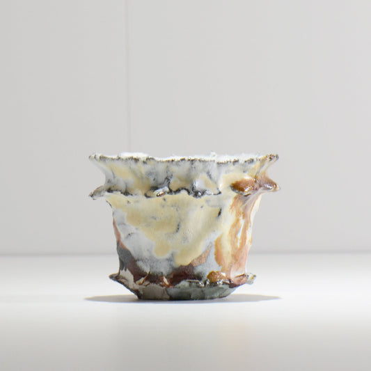 木村 貴史 / SHIOSAI_WR016 / 約 φ11cm / 植木鉢