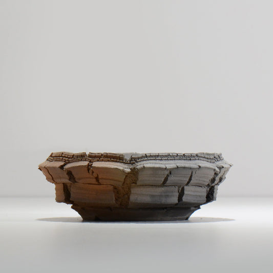 宮島將實 / TANNEN 173 / L / 約 φ16cm / 植木鉢