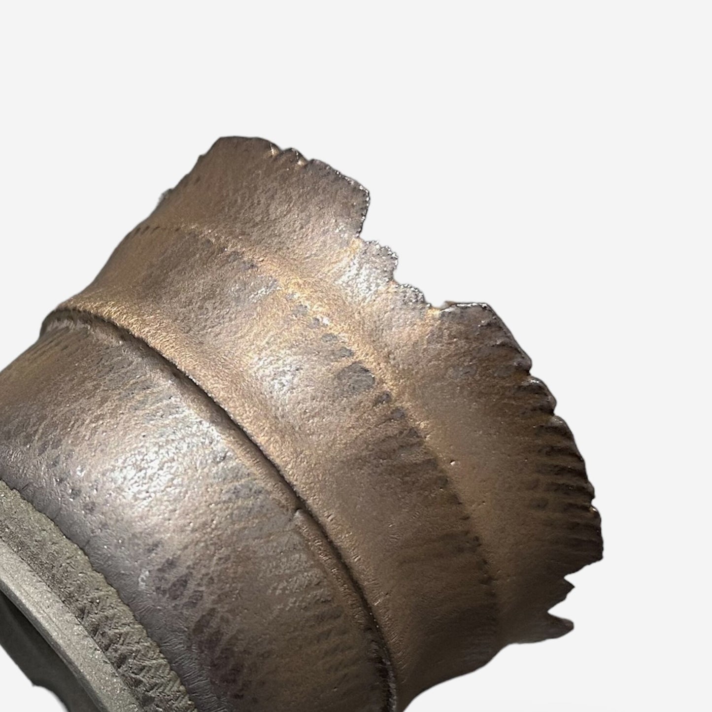 LIZARD 3 -11-25/Mサイズ