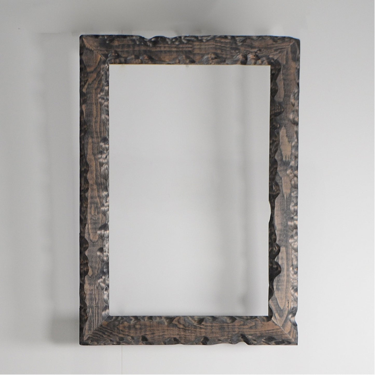 第3ワームホール:com / あぶく / abuku_01 / W31cm × H44cm /ビカクシダの額