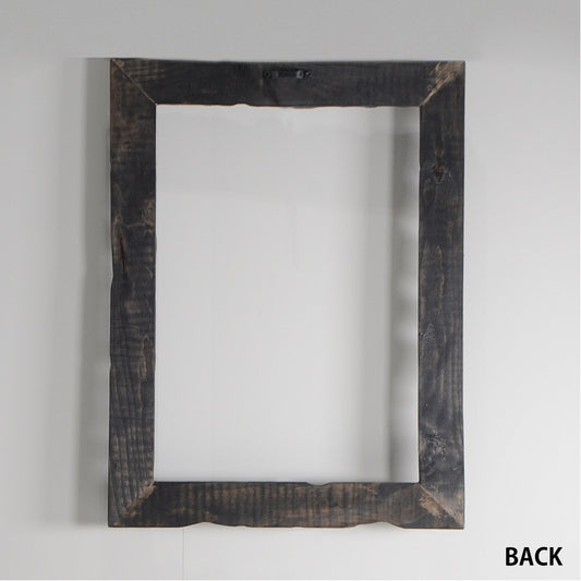 第3ワームホール:com / あぶく / abuku_03 / W33cm × H43.5cm / ビカクシダの額