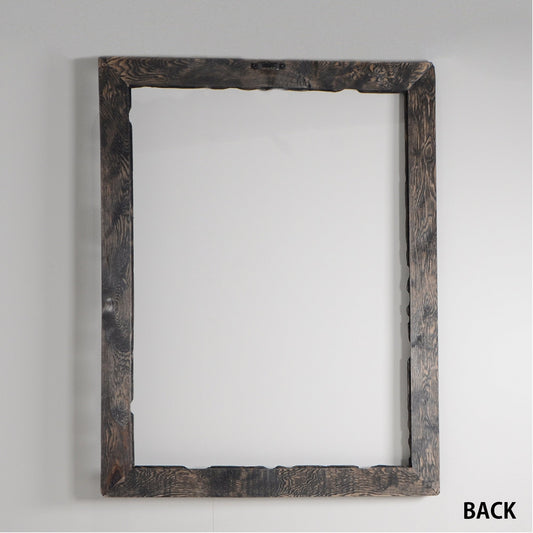 第3ワームホール:com / あぶく / abuku_05 / W45cm × H59cm / ビカクシダの額