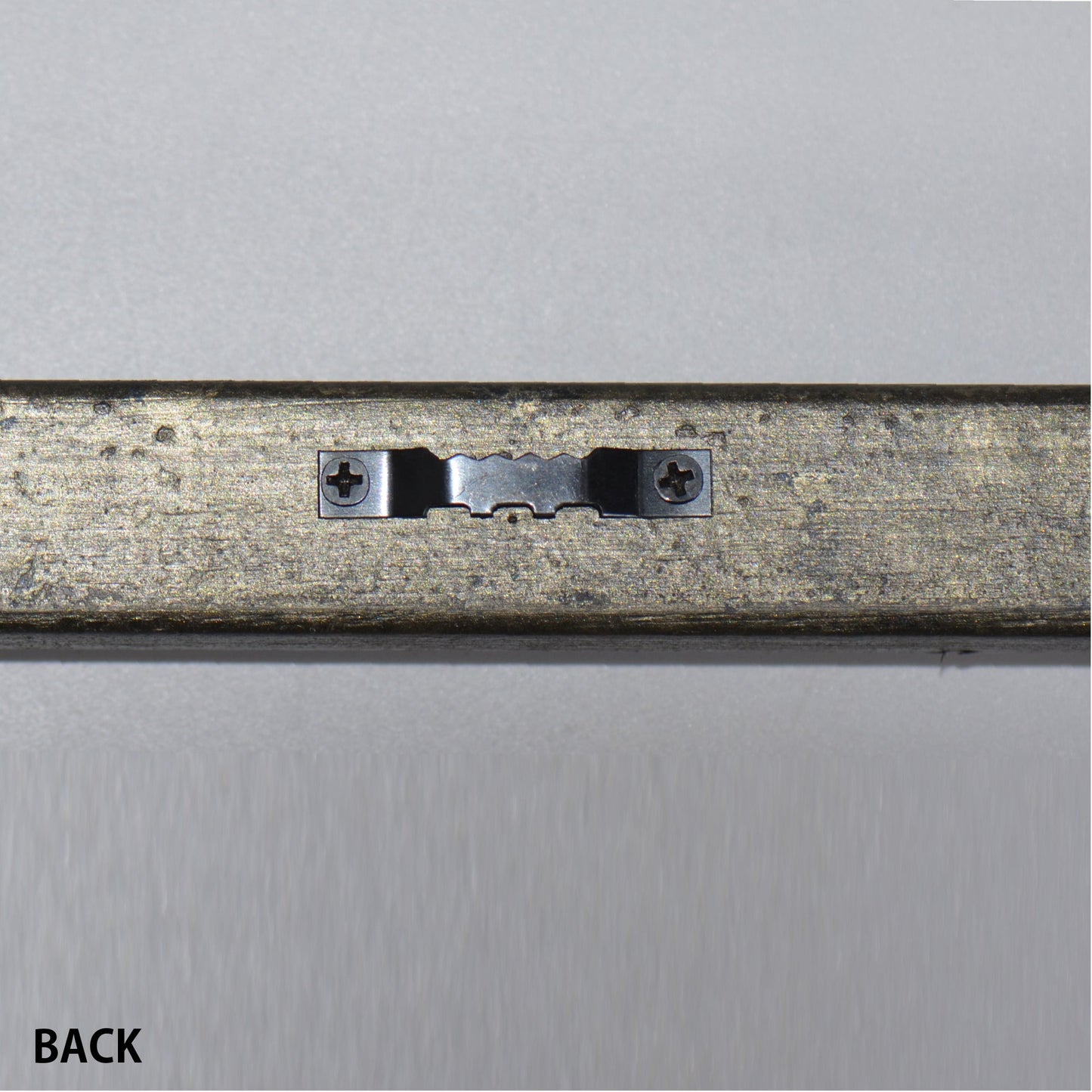 第3ワームホール:com / あぶくオリーブ /  abuku_09 / W35cm × H41cm / ビカクシダの額