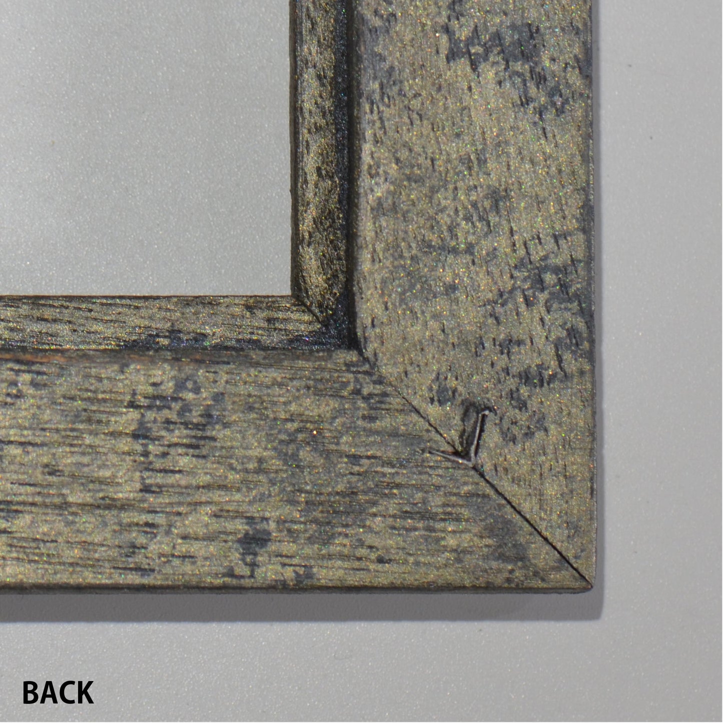 第3ワームホール:com / あぶく プラトー / abuku_10 / W33.5cm × H45.7cm / ビカクシダの額