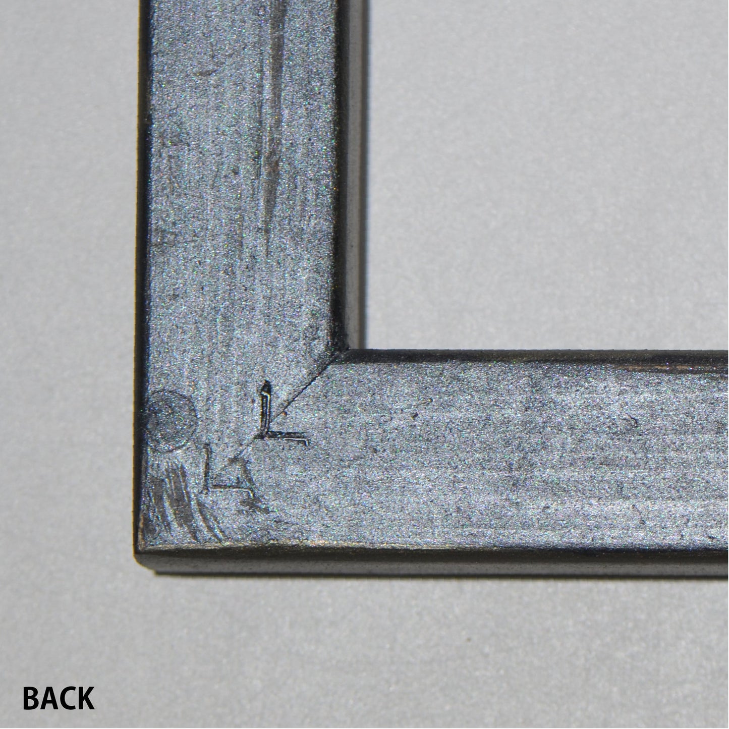 第3ワームホール:com / あぶく 深森 /  abuku_11 / W38cm × H53.5cm / ビカクシダの額