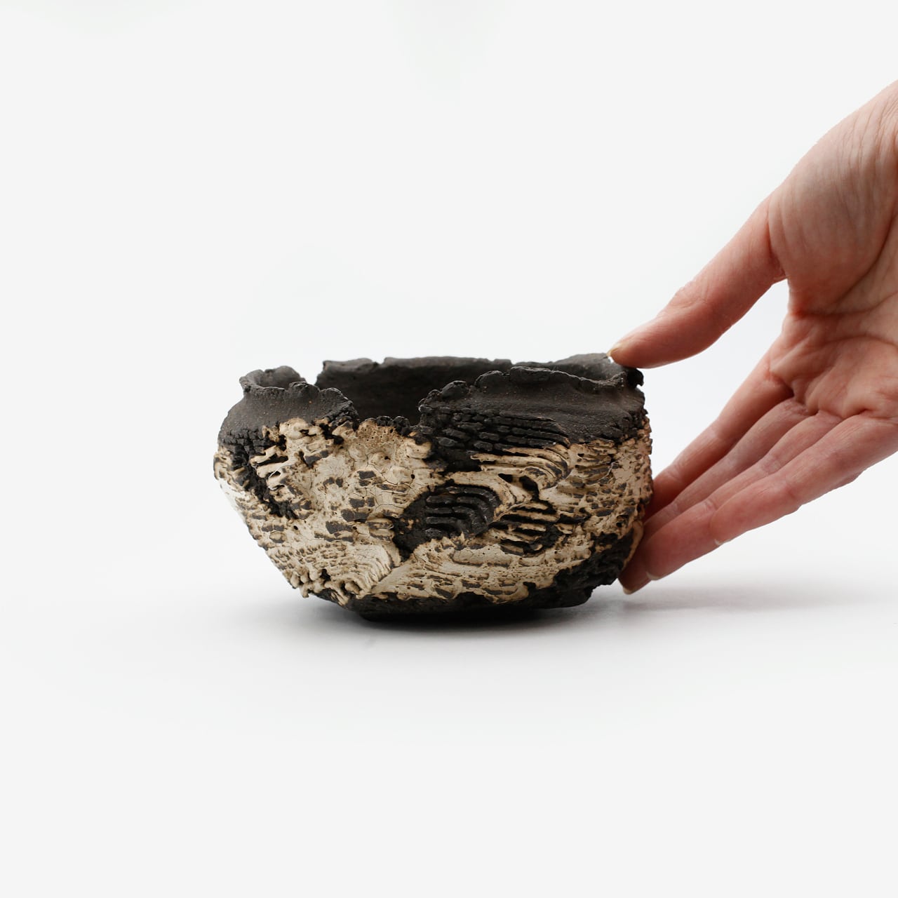 菊地元野 / DANSOU two-tone 03