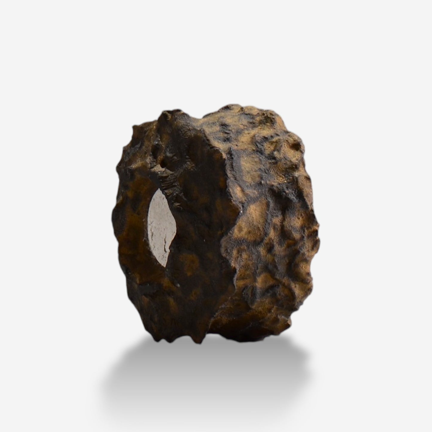 木村 貴史 / BRONZE_br005 / 約 φ10.5cm / 植木鉢