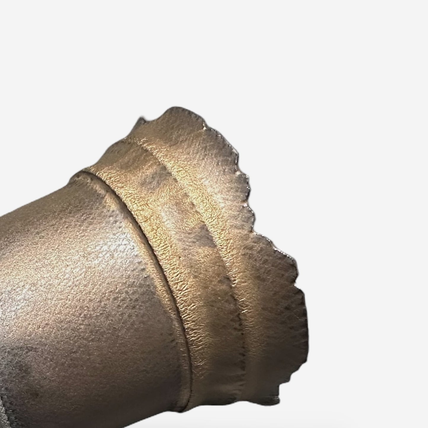 LIZARD 3 -13-23/Mサイズ