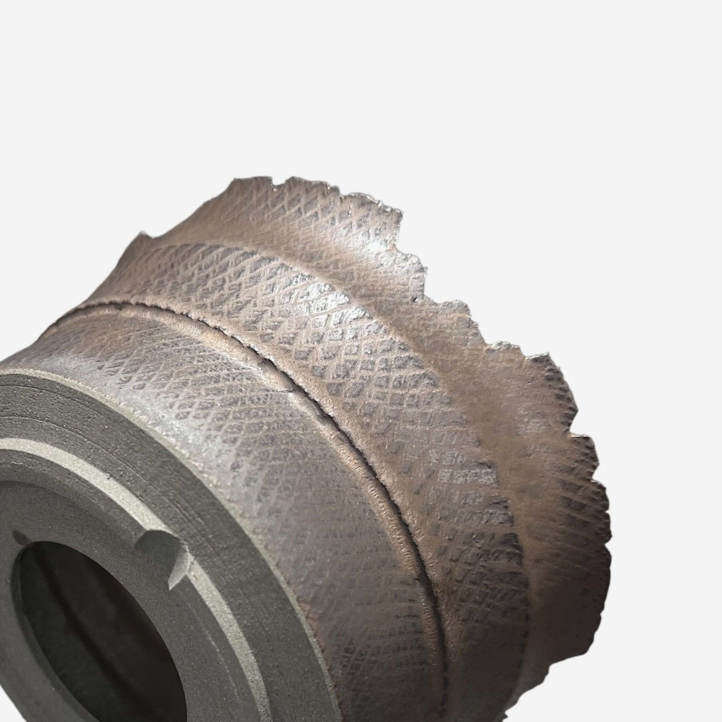 LIZARD 3 - 10-01/XLサイズ