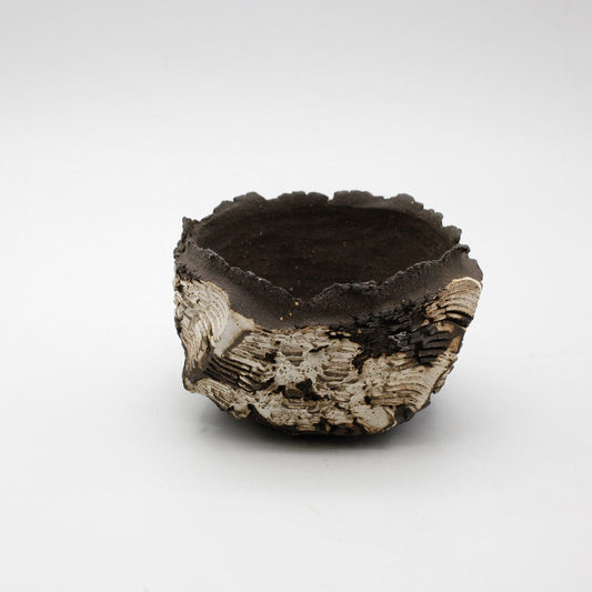 菊地元野 / DANSOU two-tone 02