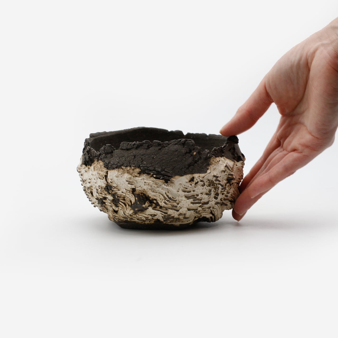 菊地元野 / DANSOU two-tone 09