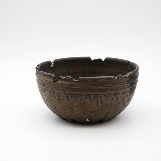 菊地元野 / TEN 02/Lサイズ