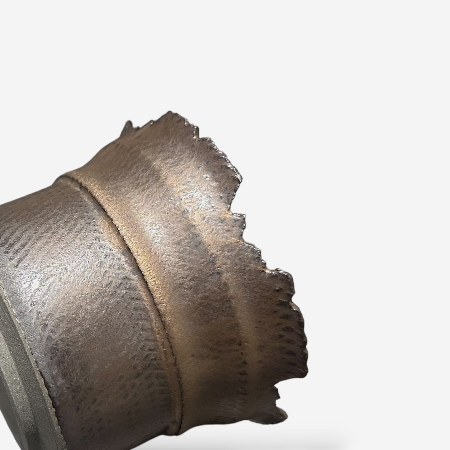 LIZARD 3 -09-32/Mサイズ