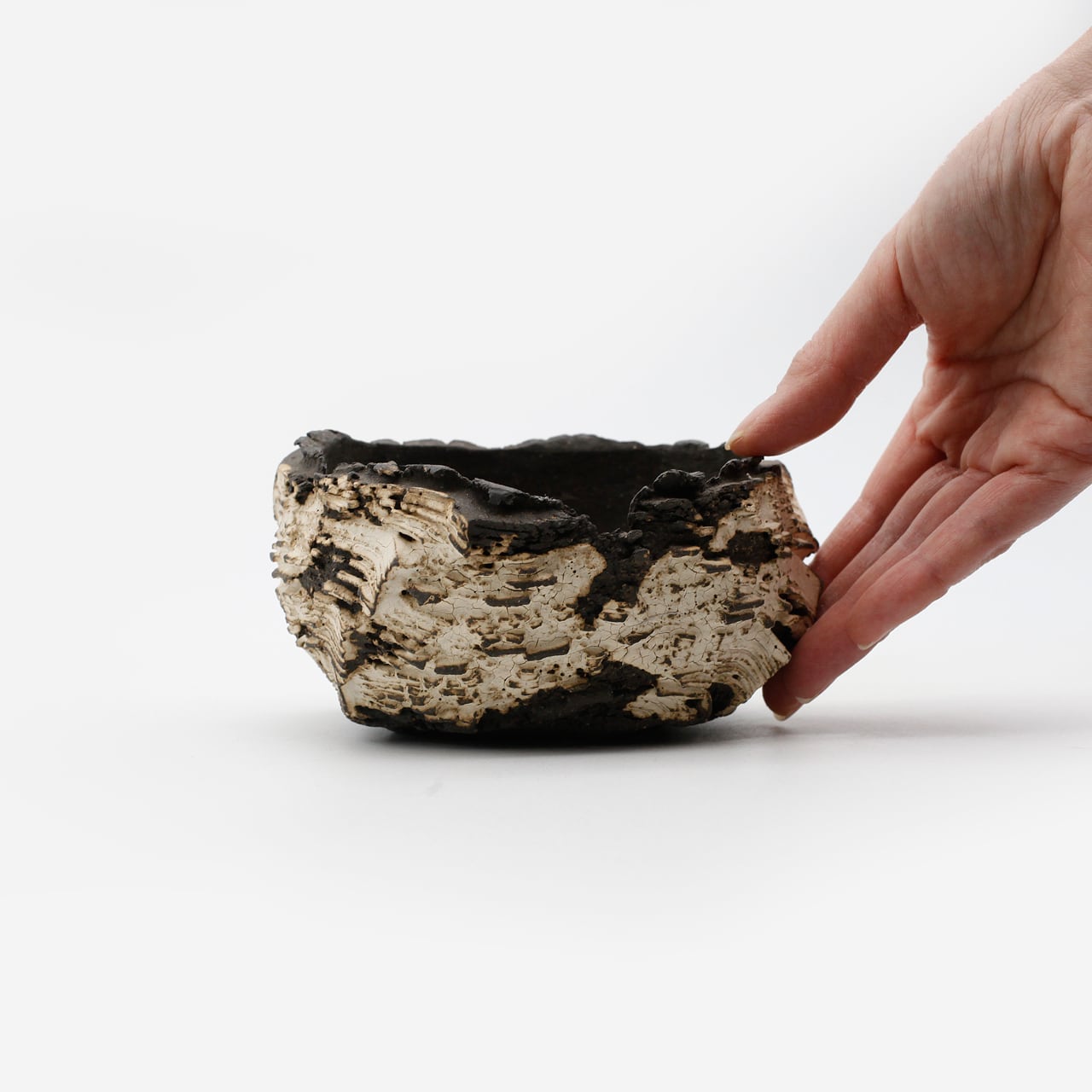 菊地元野 / DANSOU two-tone 06