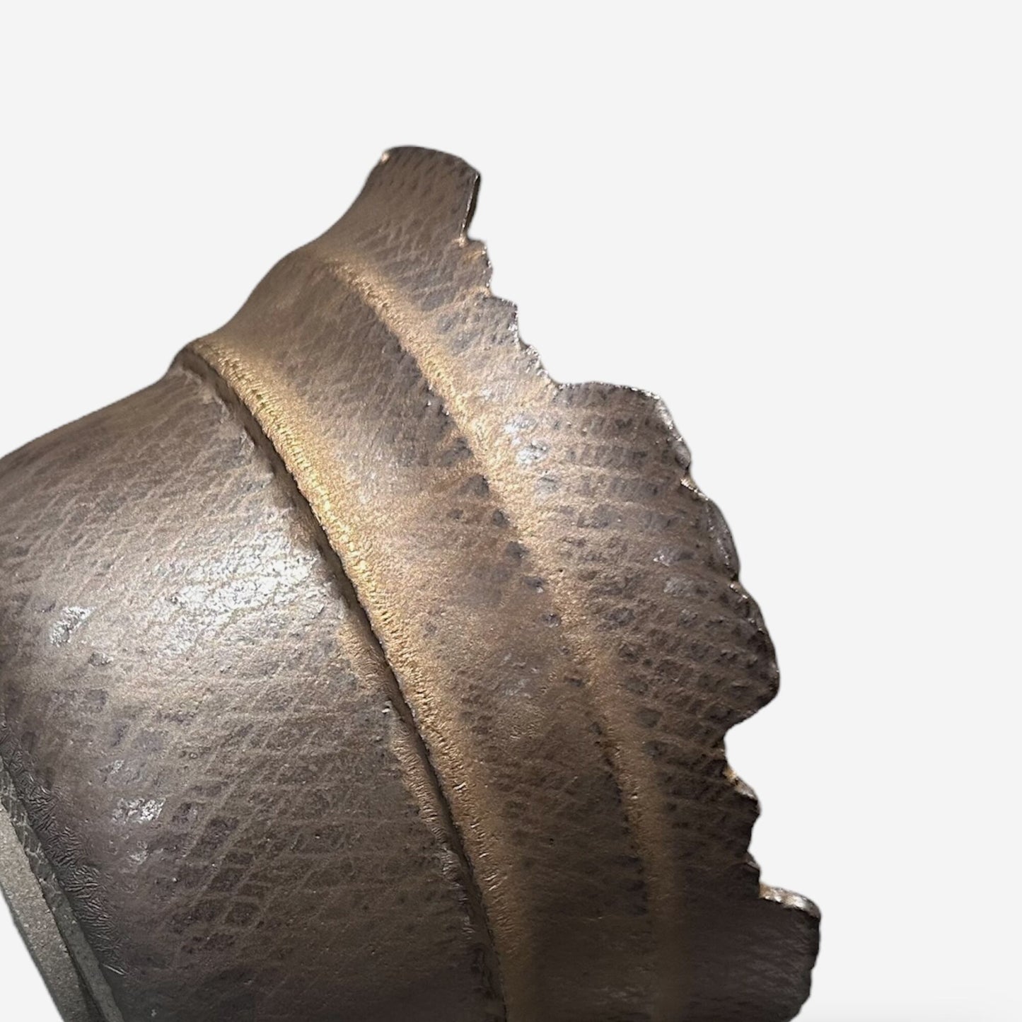 LIZARD 3 -11-11/Lサイズ