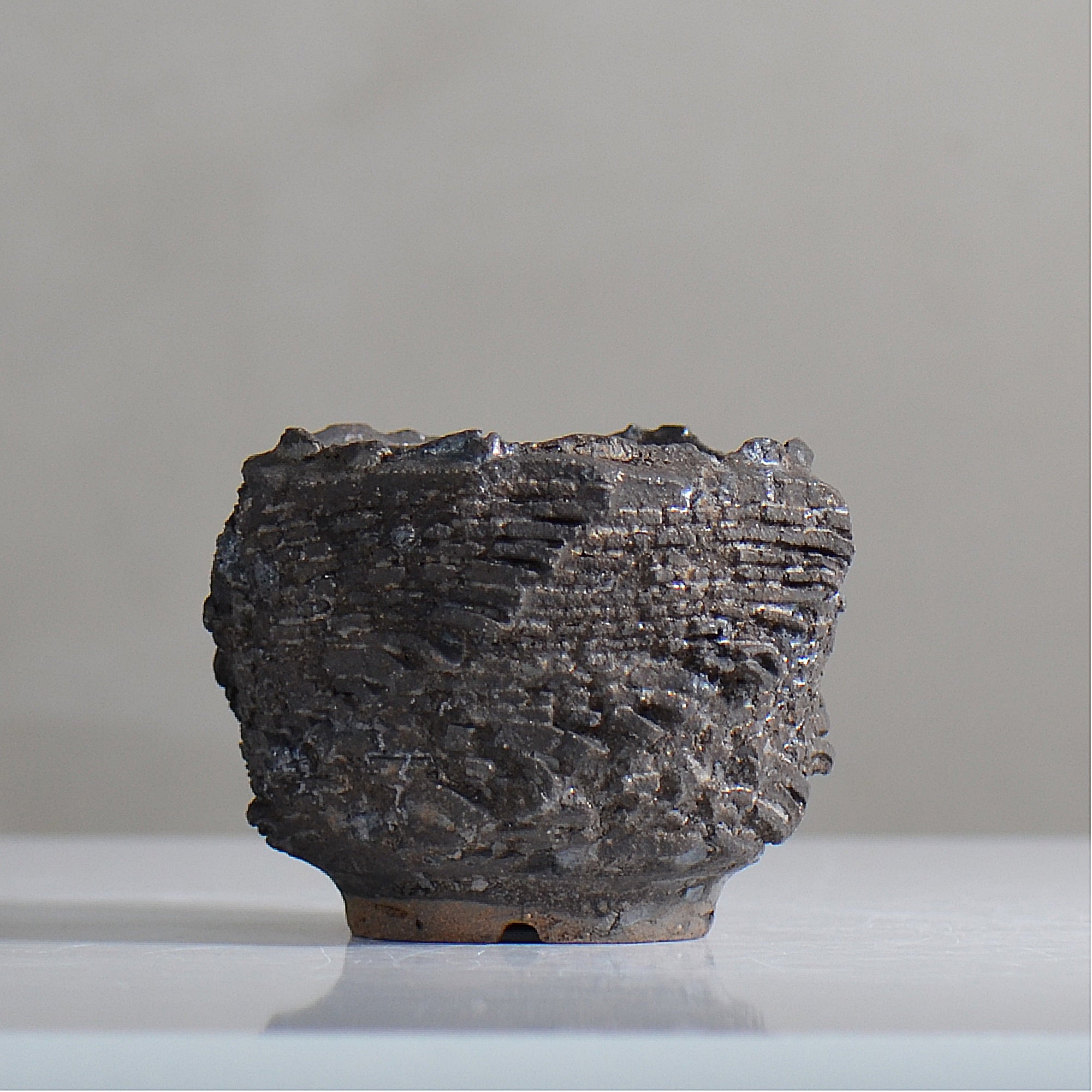 【goodtaniku】雲南実生 黑王2世 活着 鉢ごと発送 菊地元野 / DANSOU GLOSS ブラック / kg2_db04_xs / 約φ7.7cm / 植木鉢