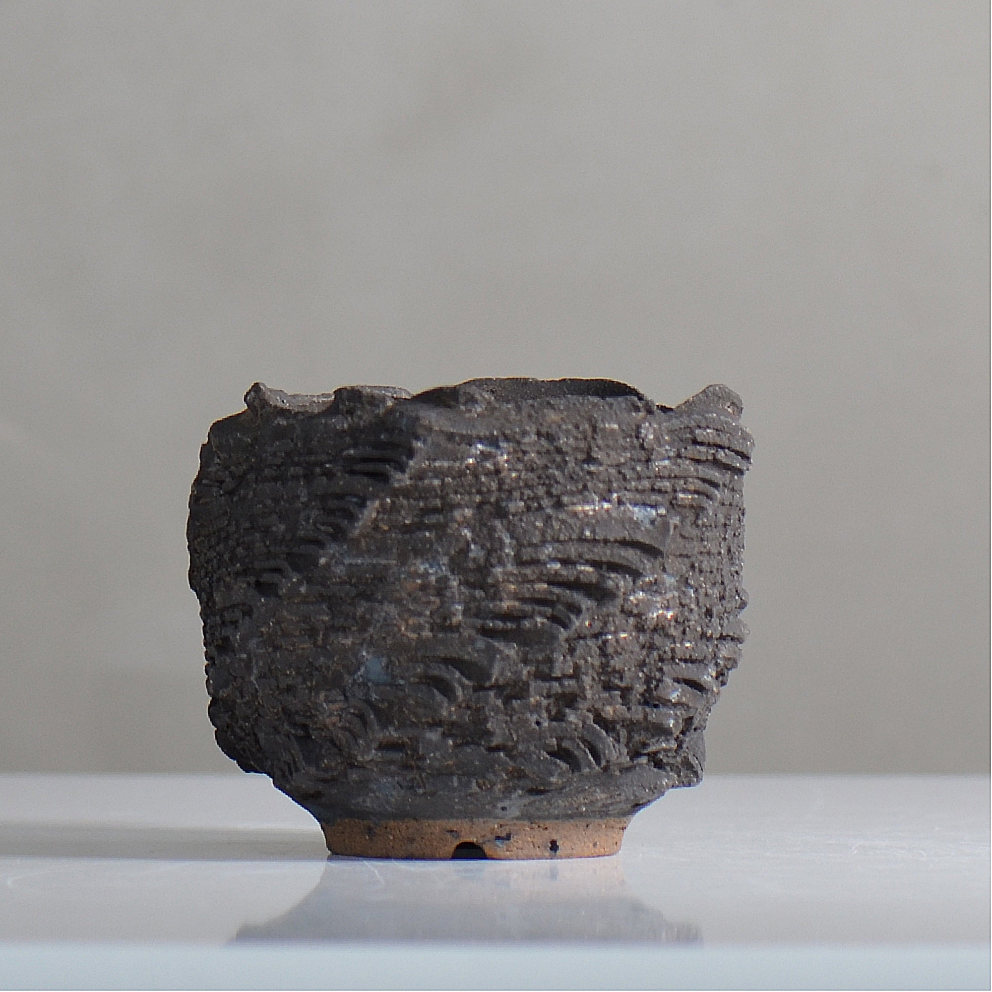 【goodtaniku】雲南実生 黑王2世 活着 鉢ごと発送 菊地元野 / DANSOU GLOSS ブラック / kg2_db05_xs / 約φ8cm / 植木鉢