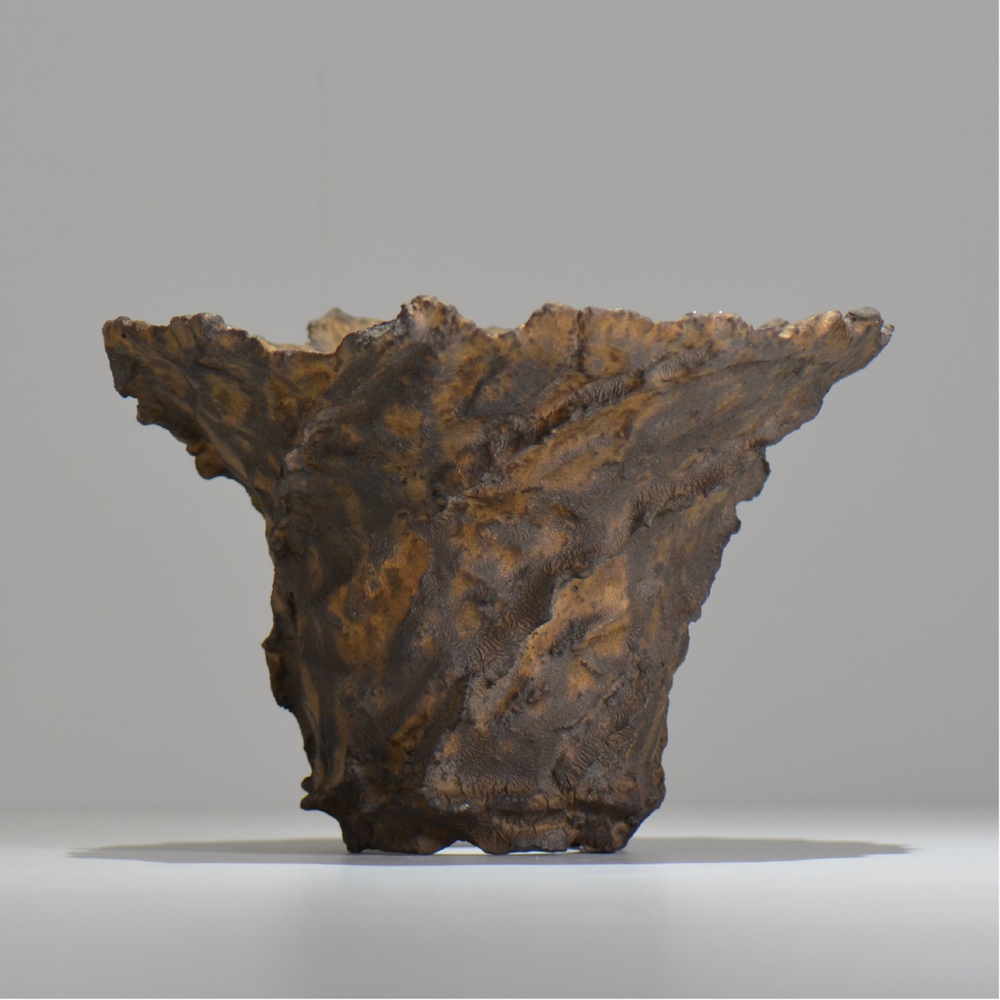 19.木村 貴史 / DEISAI bronze / bronze_04_big / 大鉢 / 約 φ22.5cm / 植木鉢