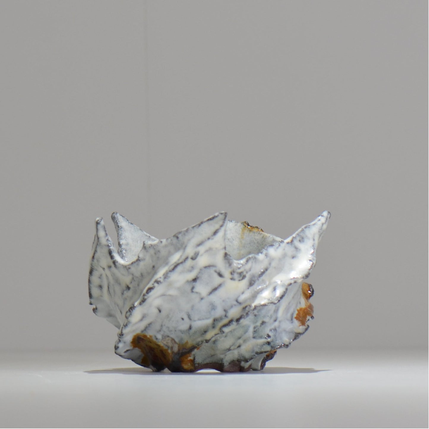 木村 貴史 / SHIOSAI / kt_ss05_s / 約 φ10cm / 植木鉢