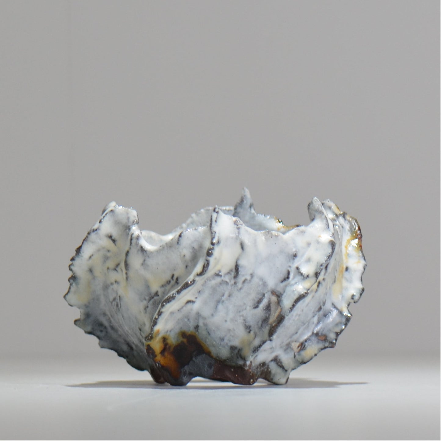 木村 貴史 / SHIOSAI / kt_ss07_s / 約 φ10cm / 植木鉢
