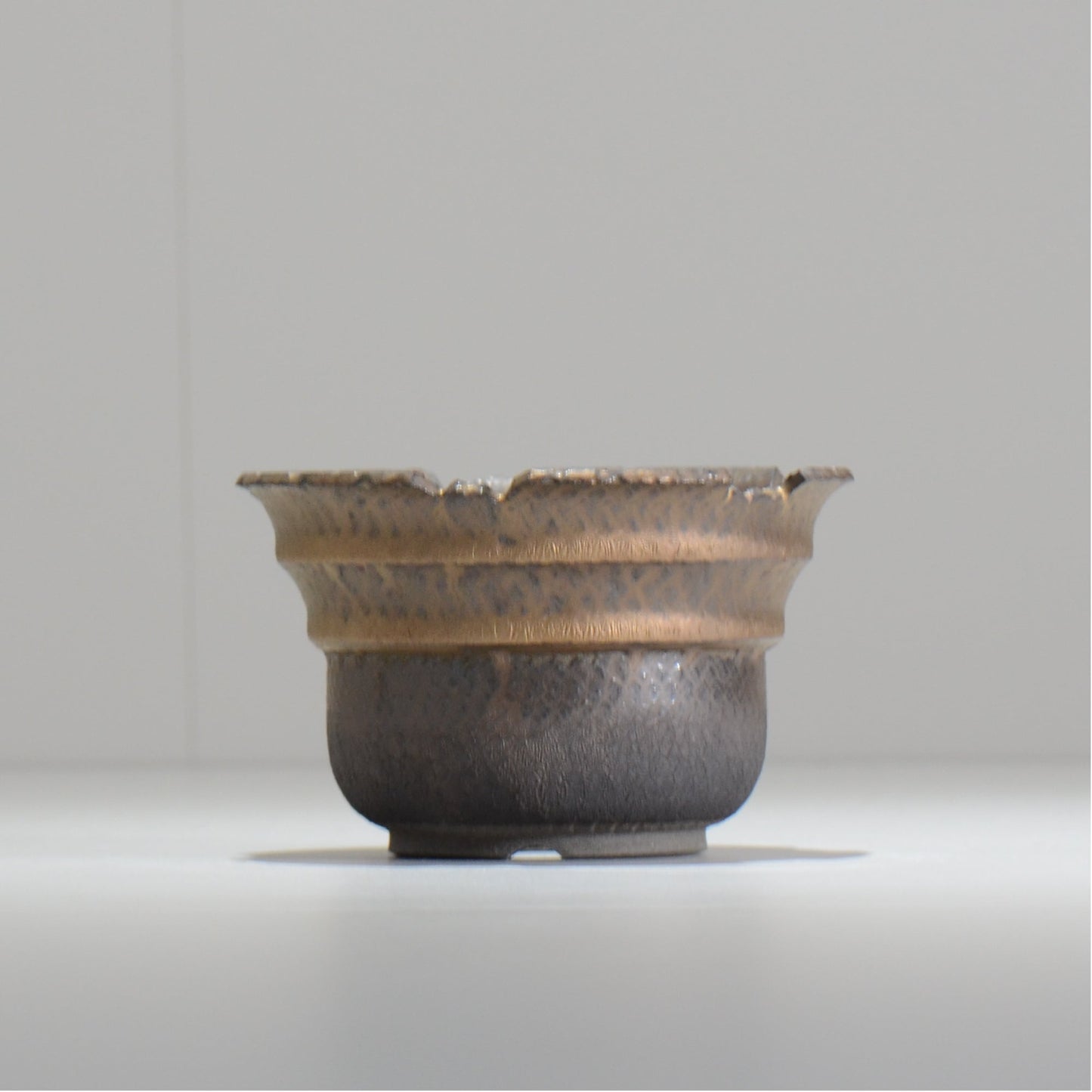仲田唯希人 / LIZARD06_03 / 約φ11.7cm / 植木鉢