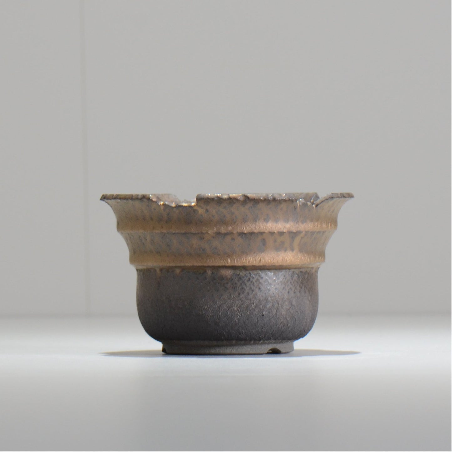 仲田唯希人 / LIZARD06_03 / 約φ11.7cm / 植木鉢