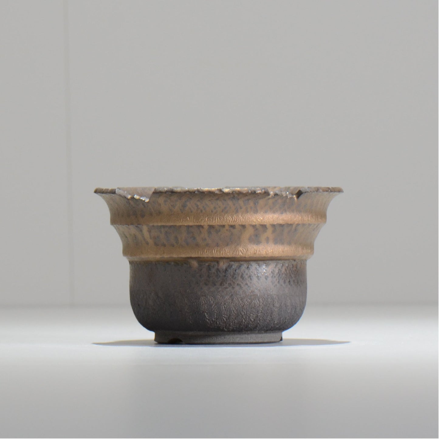 仲田唯希人 / LIZARD06_03 / 約φ11.7cm / 植木鉢
