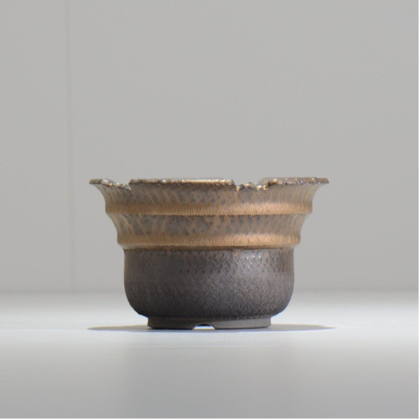 仲田唯希人 / LIZARD06_03 / 約φ11.7cm / 植木鉢